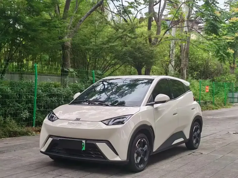 BYD Seagull, 2024