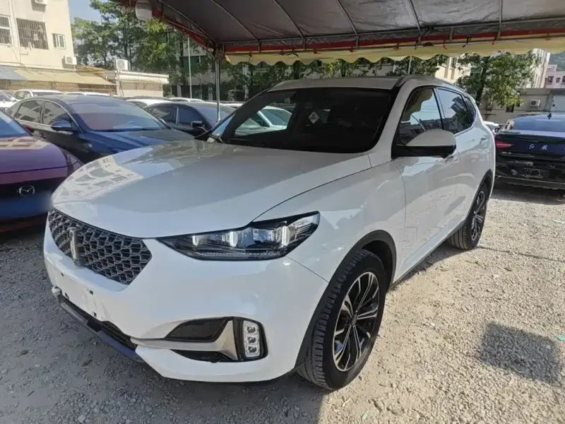 Wey VV6, 2021