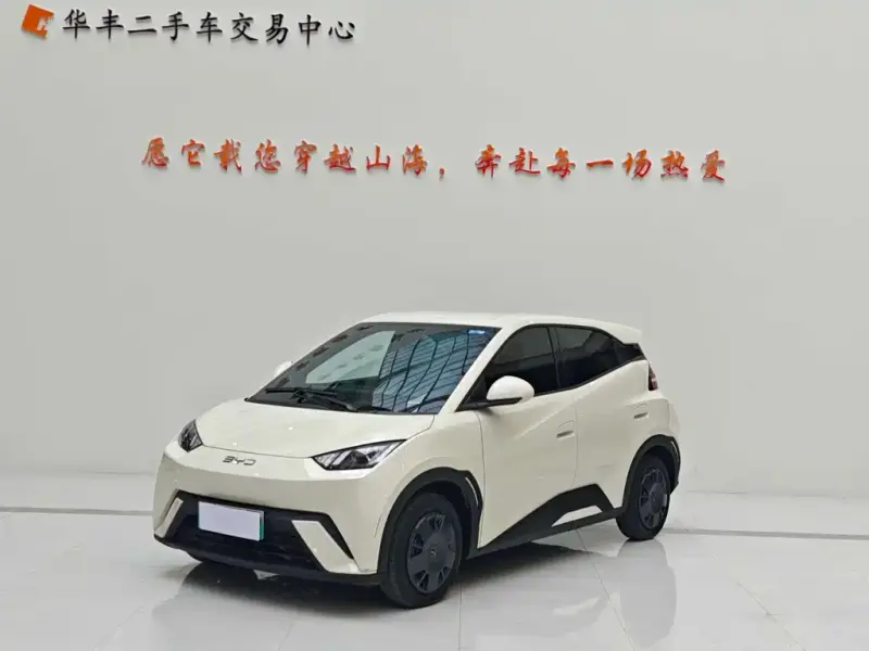 BYD Seagull, 2025
