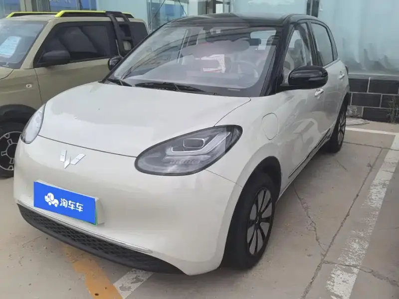 Wuling Bingo, 2024