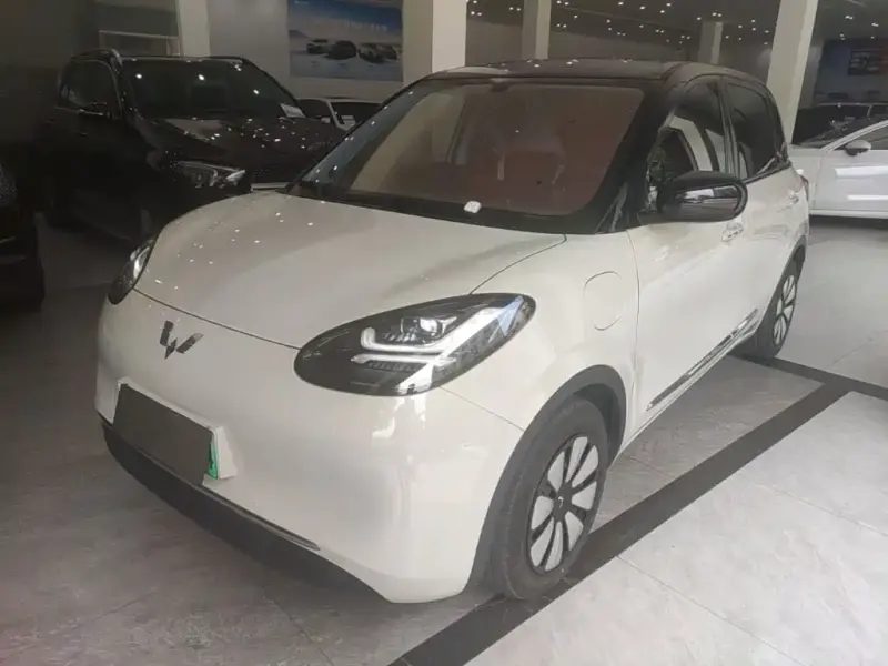 Wuling Bingo, 2024