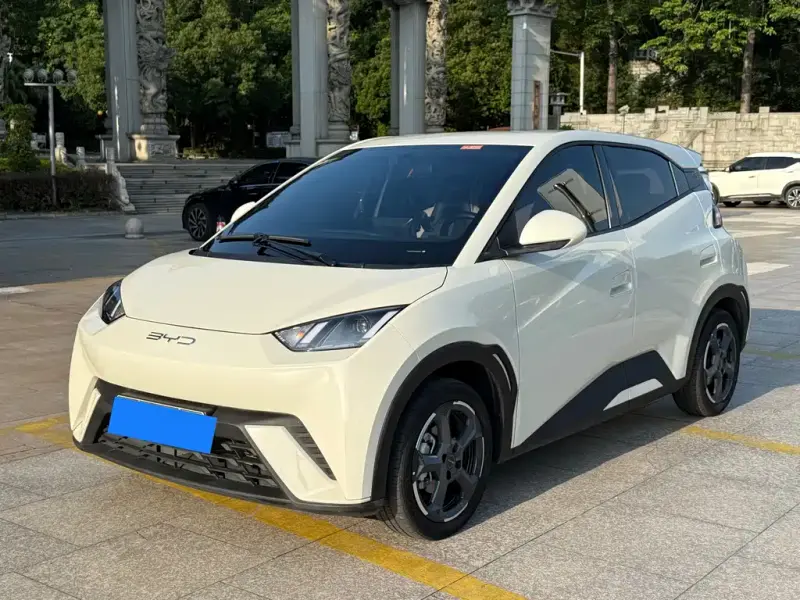 BYD Seagull, 2024