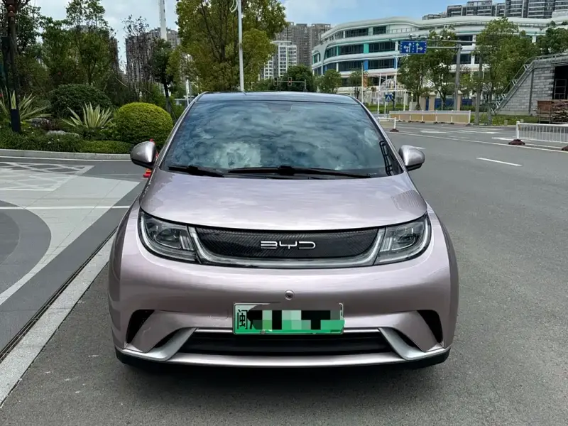 BYD Dolphin, 2022
