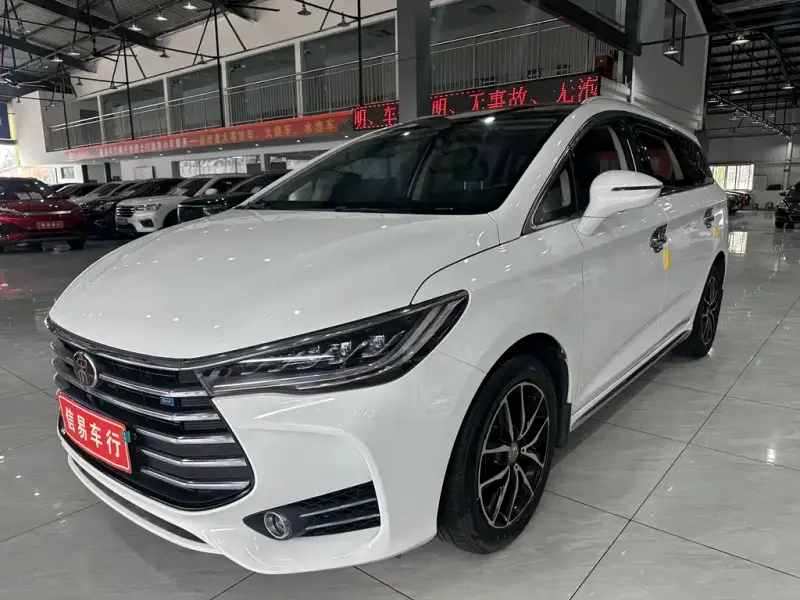 BYD MAX, 2019
