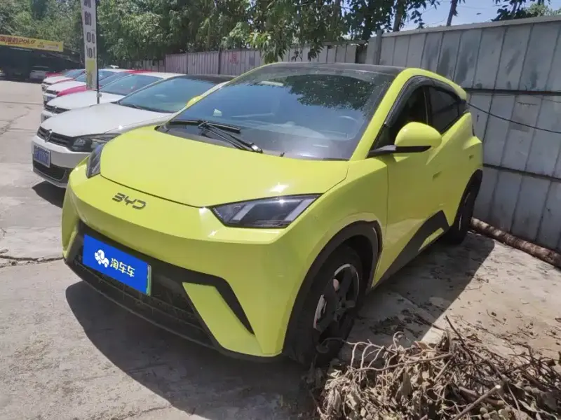 BYD Seagull, 2024