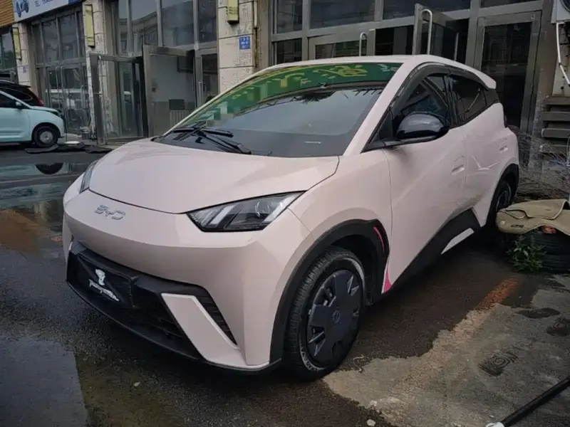 BYD Seagull, 2024