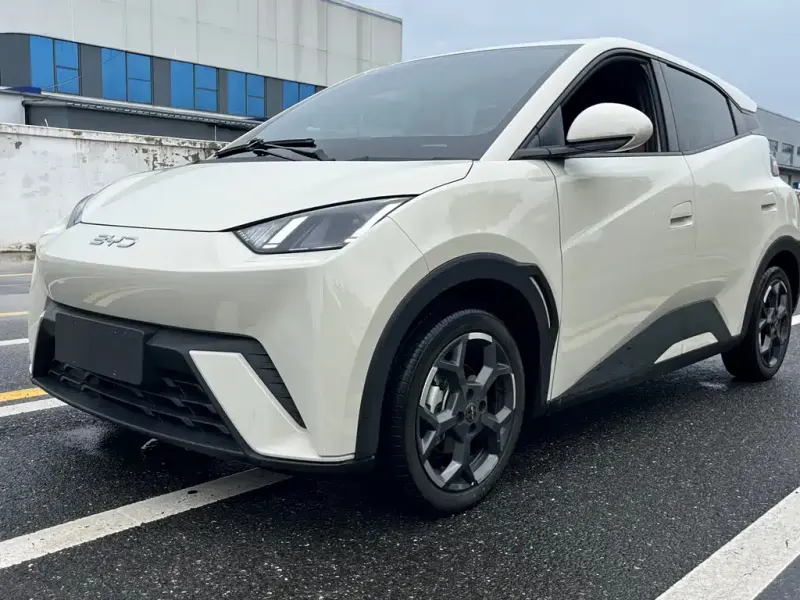 BYD Seagull, 2024
