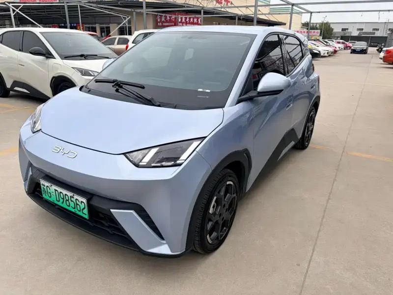 BYD Seagull, 2024