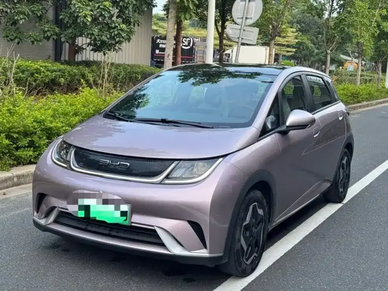 BYD Dolphin, 2022