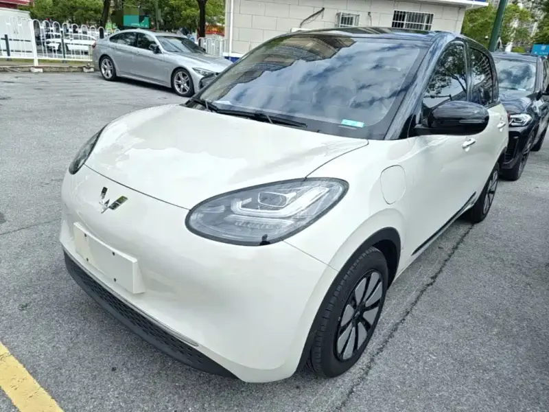 Wuling Bingo, 2023