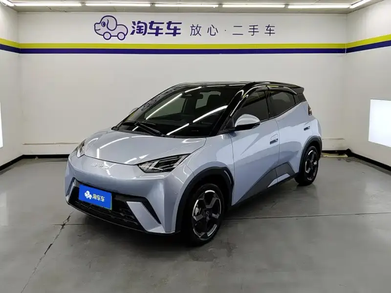 BYD Seagull, 2024