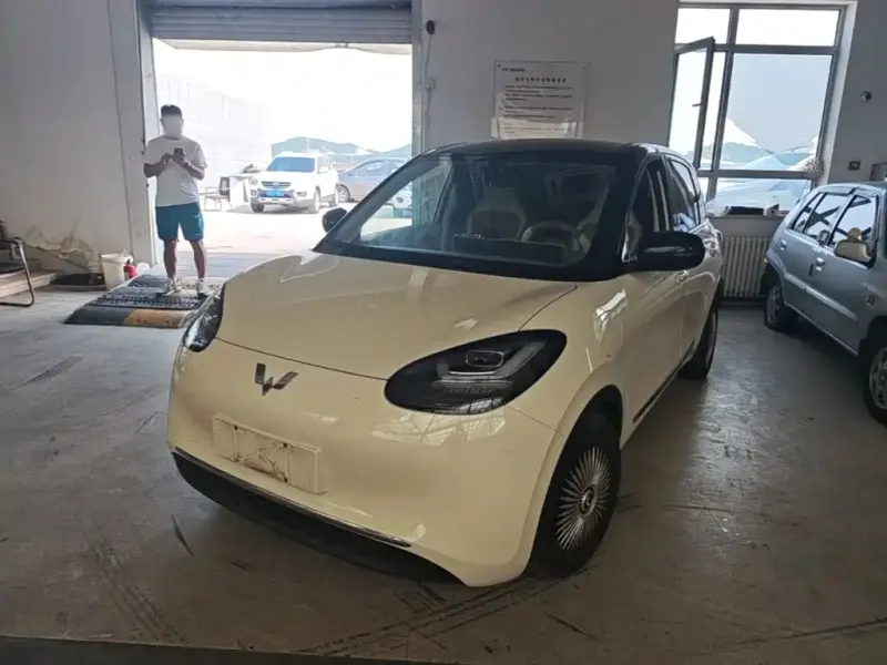 Wuling Bingo, 2025
