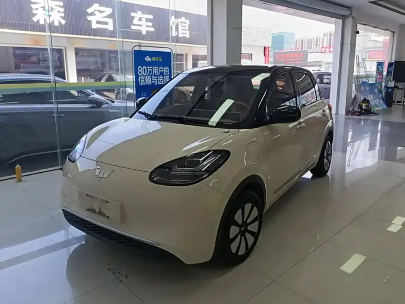 Wuling Bingo, 2025