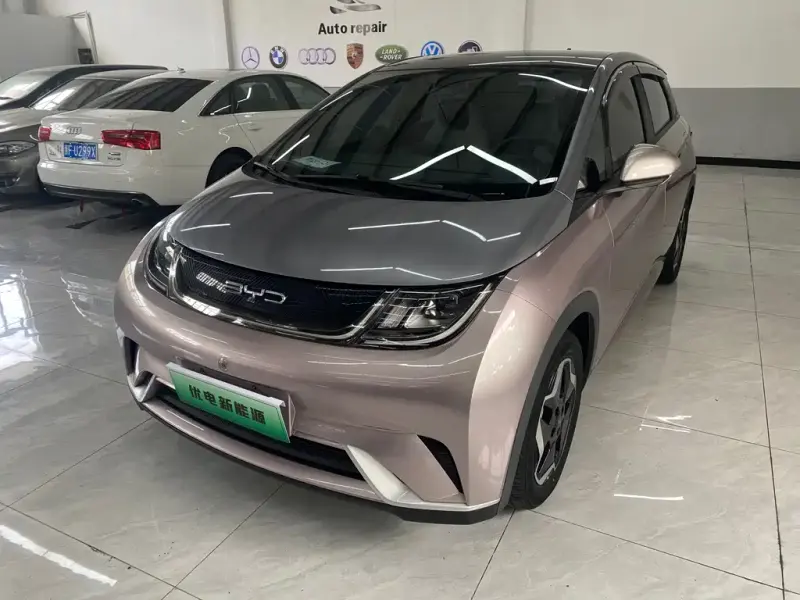 BYD Dolphin, 2022