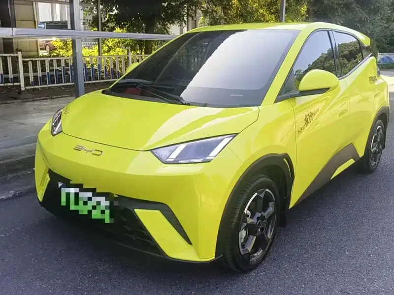 BYD Seagull, 2024