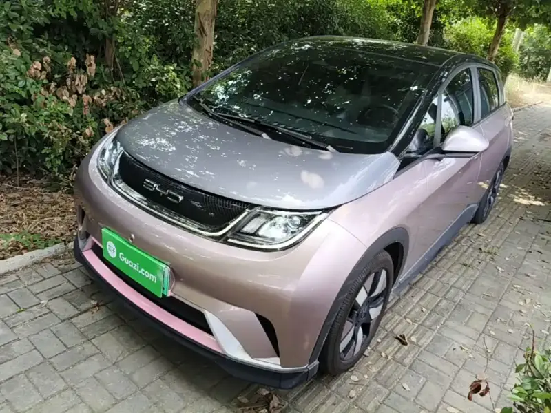 BYD Dolphin, 2022