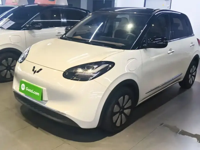 Wuling Bingo, 2024