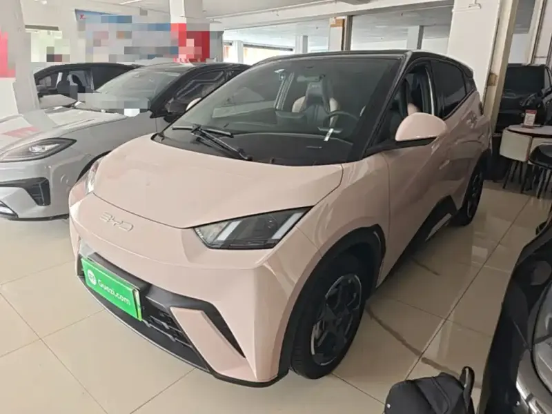 BYD Seagull, 2024