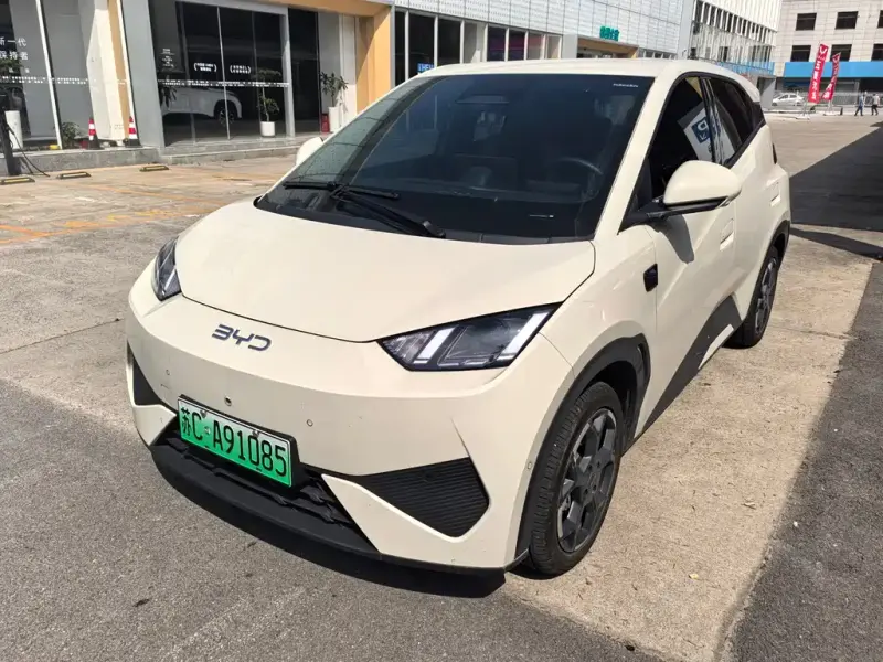BYD Seagull, 2025