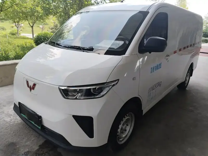 Wuling Yangguang, 2024