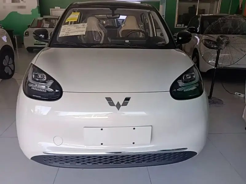 Wuling Bingo, 2025