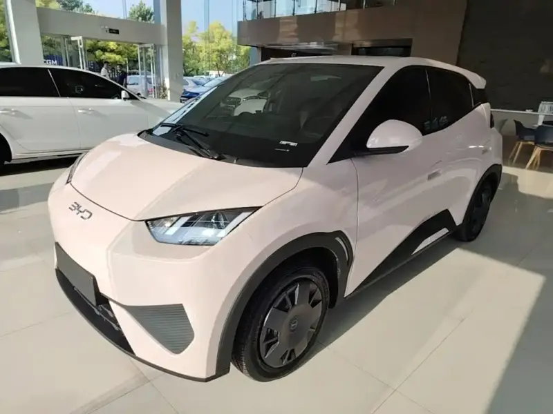 BYD Seagull, 2026