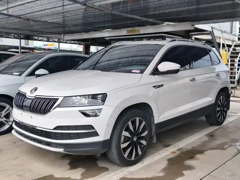 Skoda Karoq, 2021