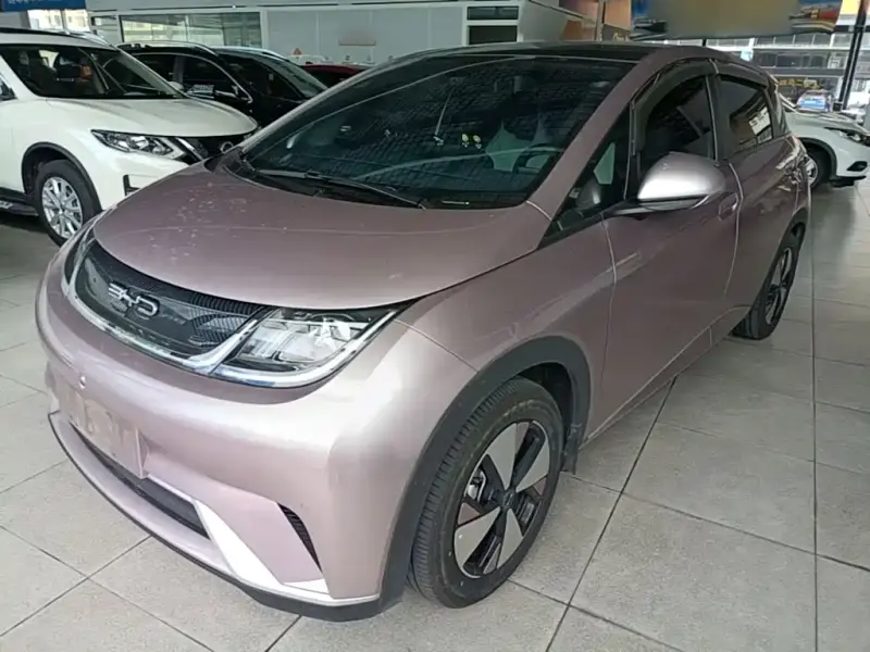 BYD Dolphin, 2024