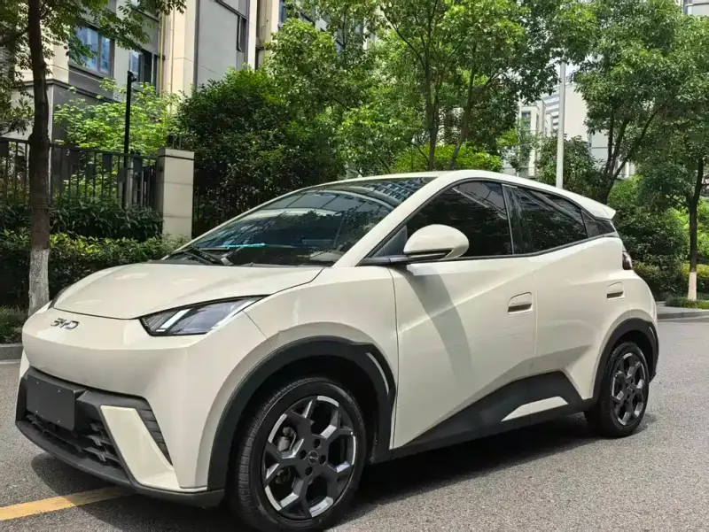 BYD Seagull, 2025