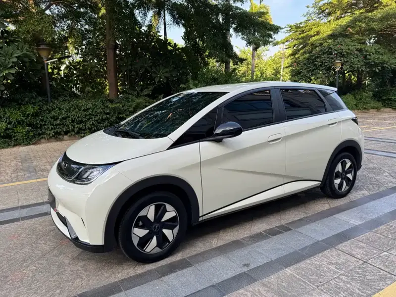 BYD Dolphin, 2025