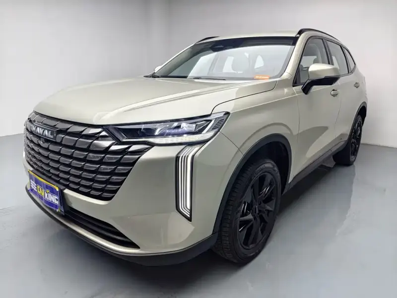 Haval H6, 2024