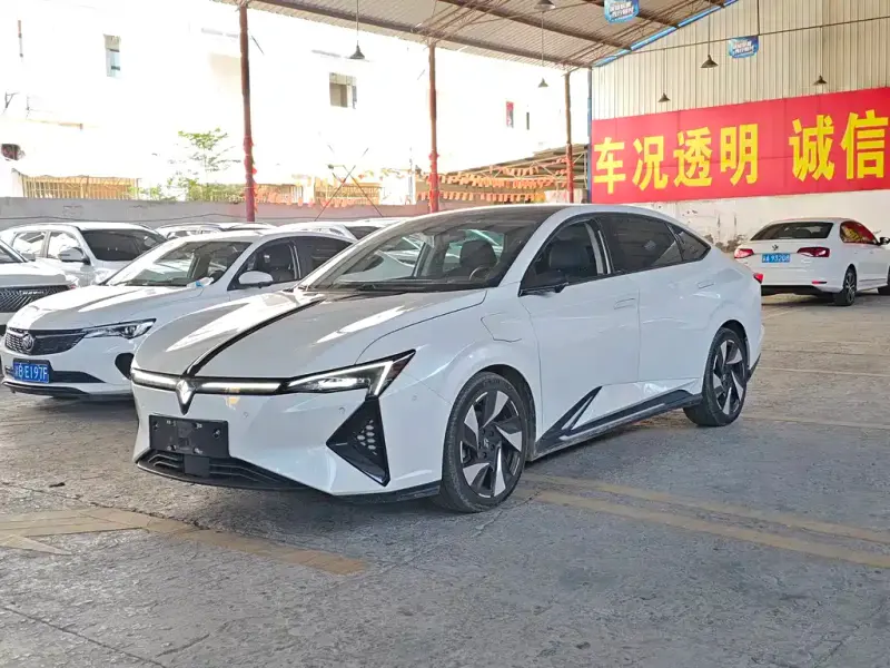 Lingxi L, 2024