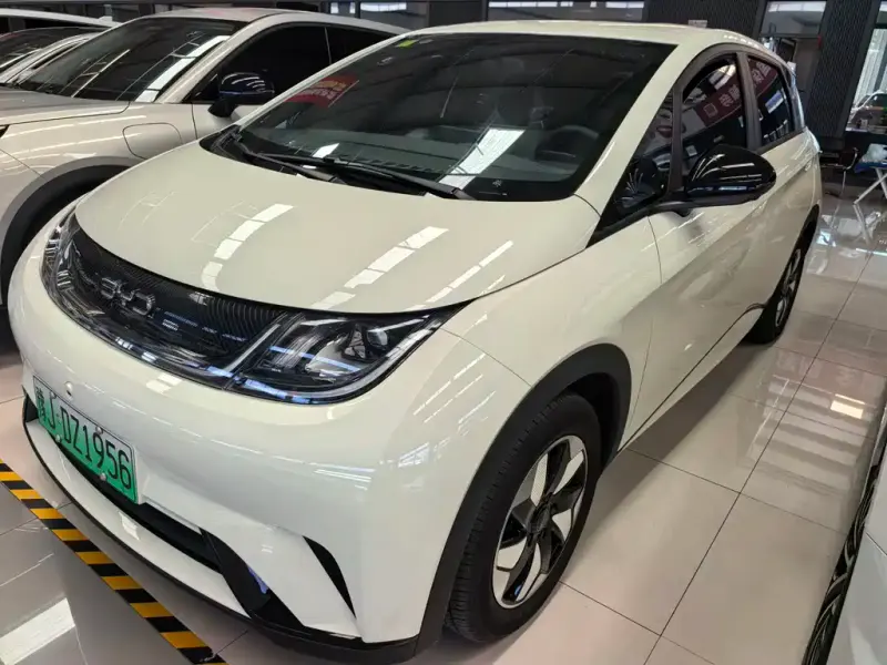 BYD Dolphin, 2026