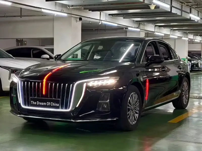 Hongqi H5, 2024