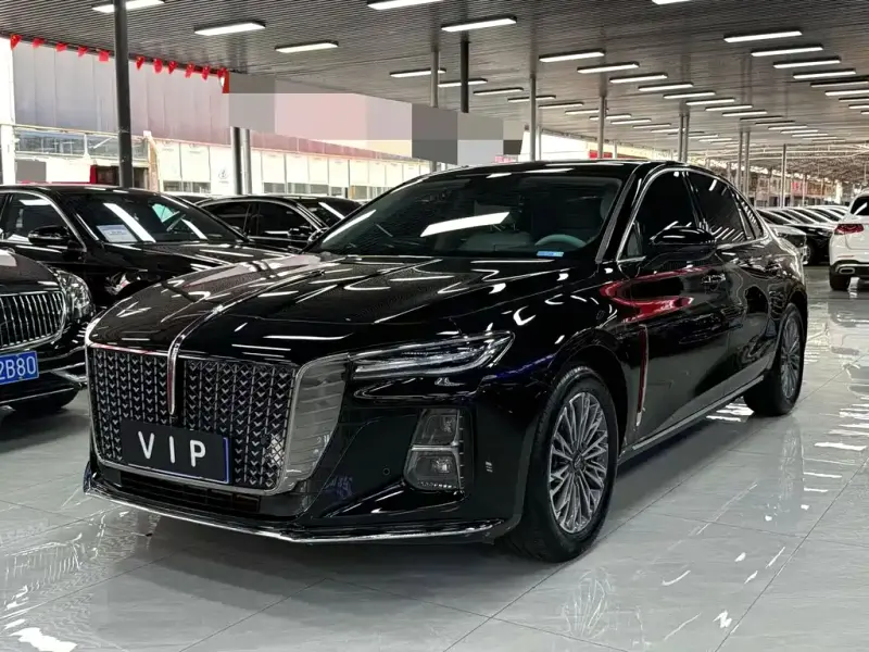 Hongqi H5, 2024