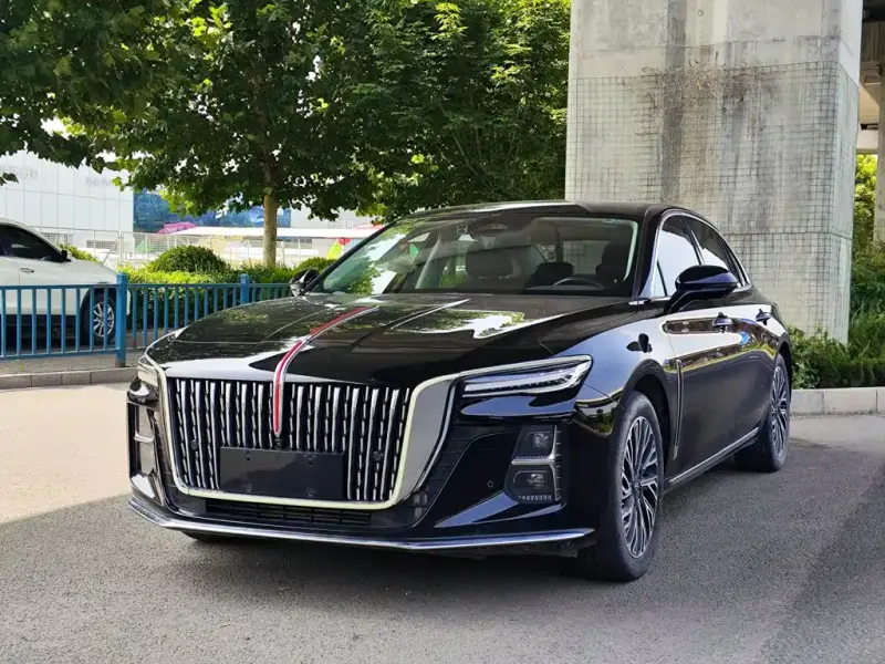 Hongqi H5, 2024