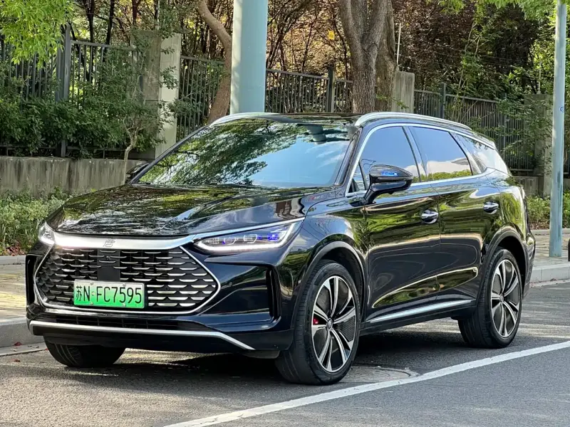BYD Tang New Energy, 2023
