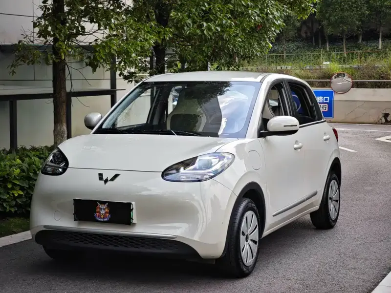 Wuling Bingo, 2024