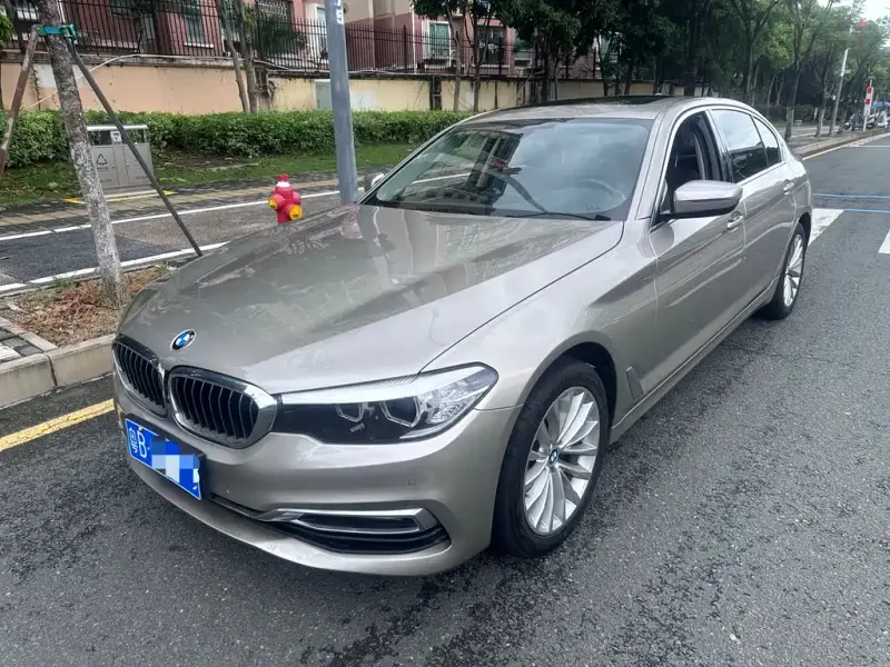 BMW 5 Series, 2019