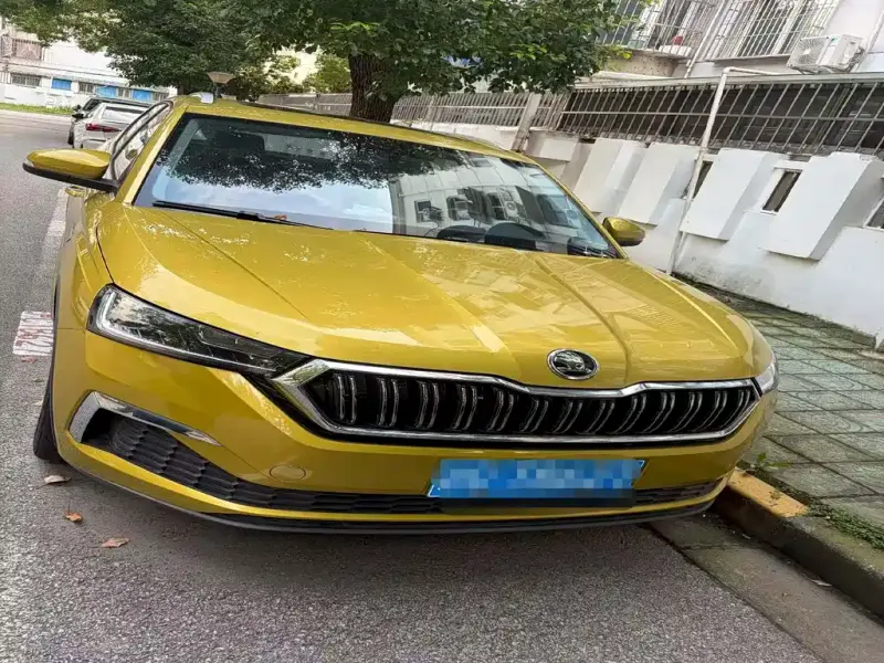Skoda Kamiq, 2021