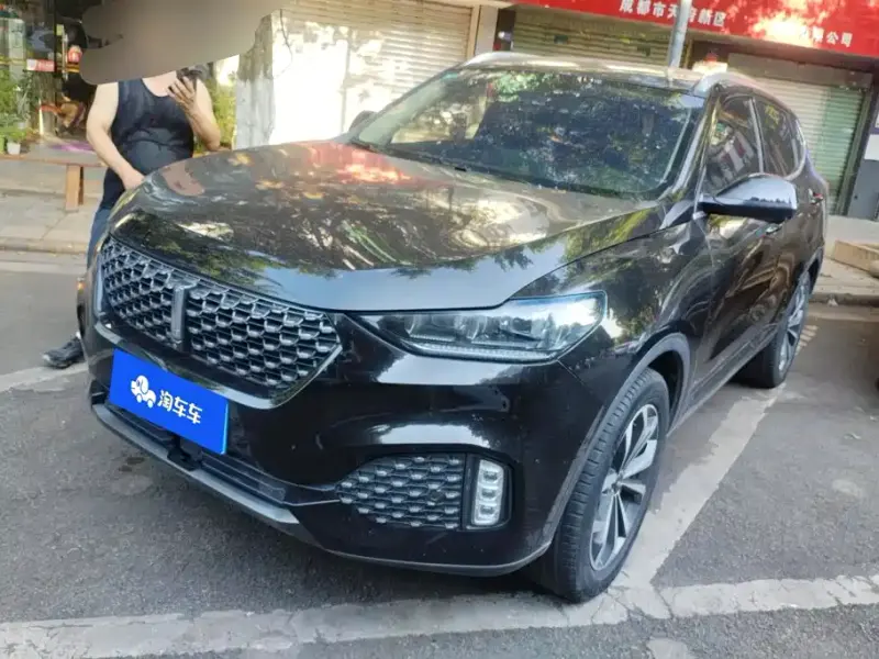 Wey VV6, 2020