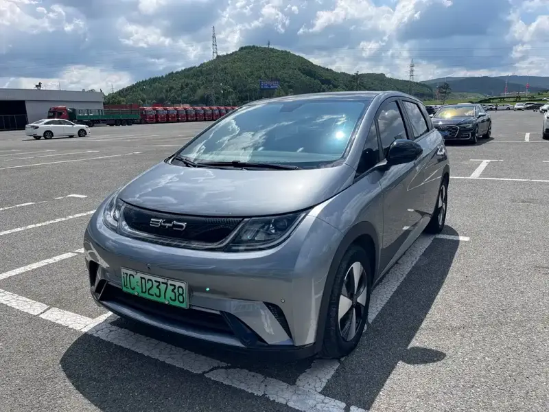BYD Dolphin, 2024