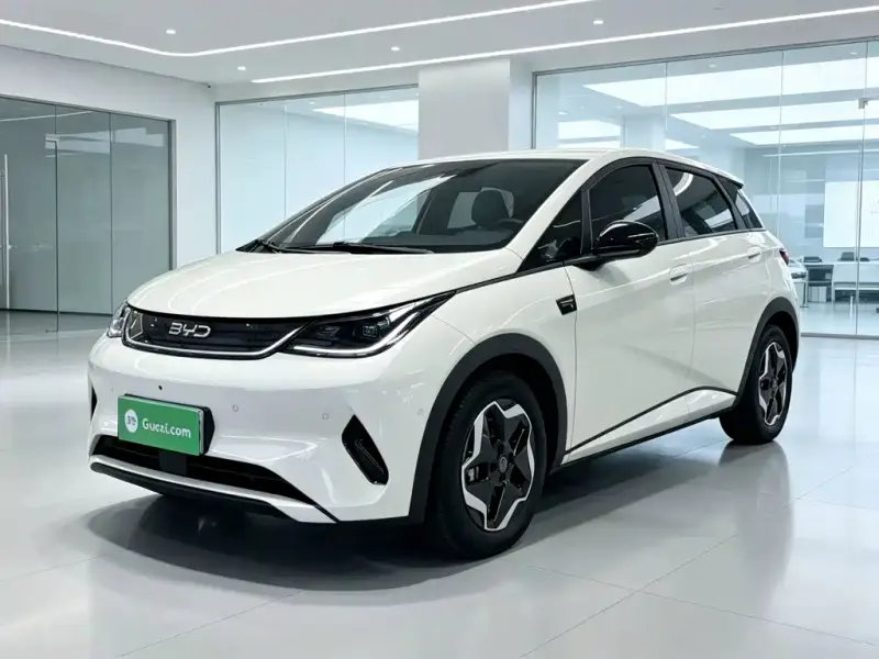 BYD Dolphin, 2025