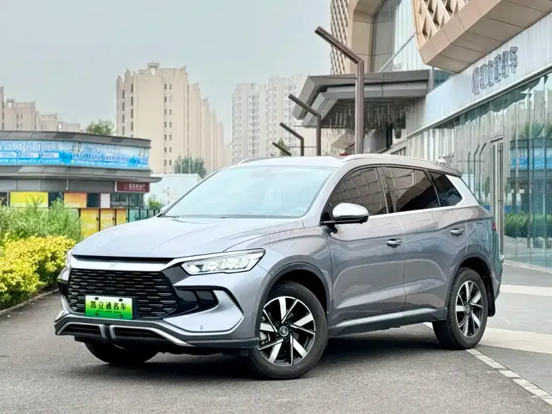 BYD Pro New Energy, 2024