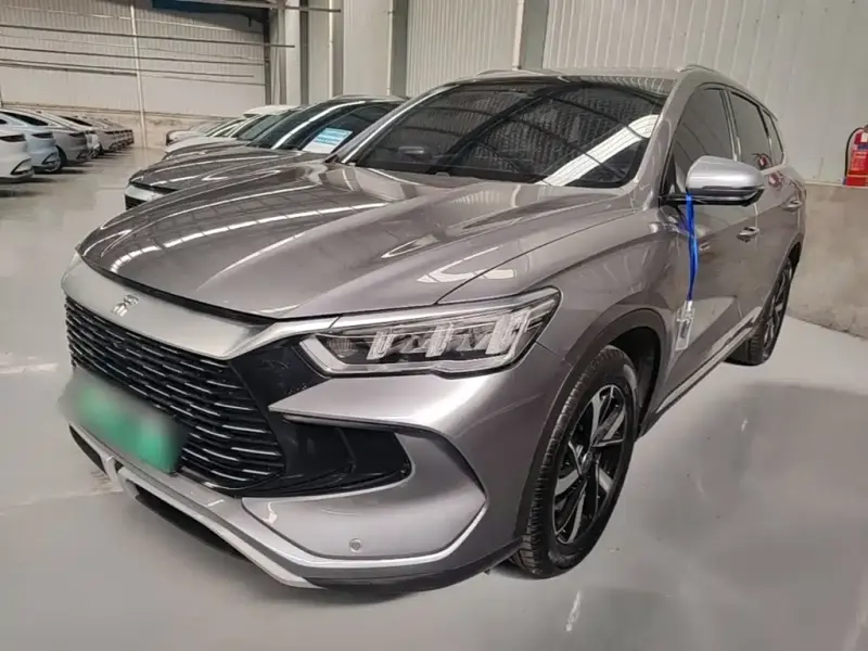 BYD Pro New Energy, 2023