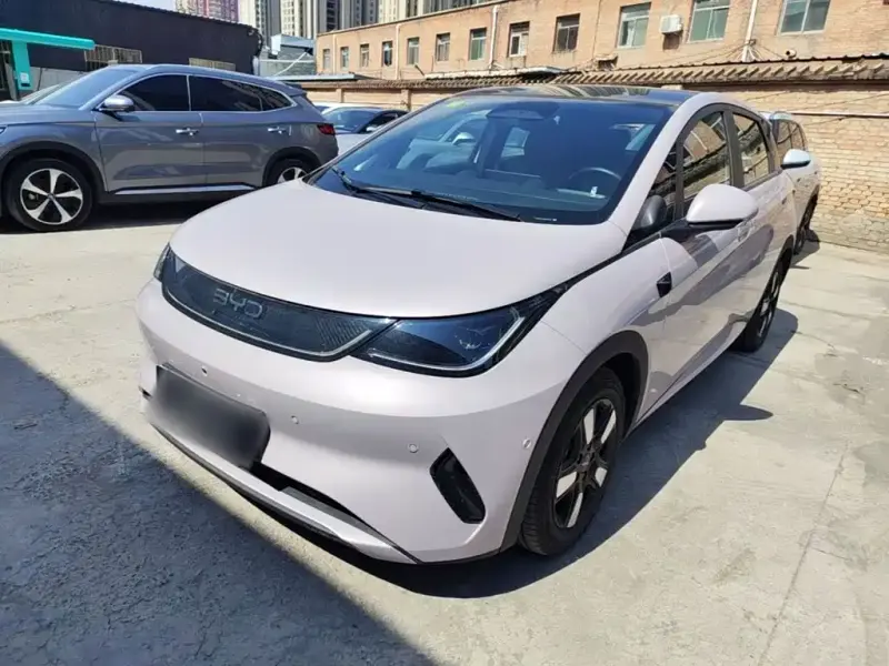 BYD Dolphin, 2025