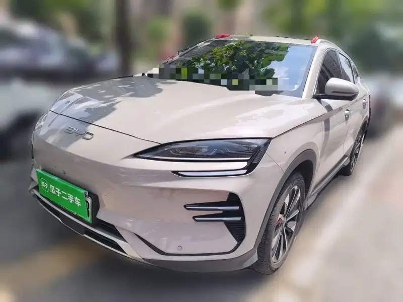 BYD PLUS New Energy, 2024