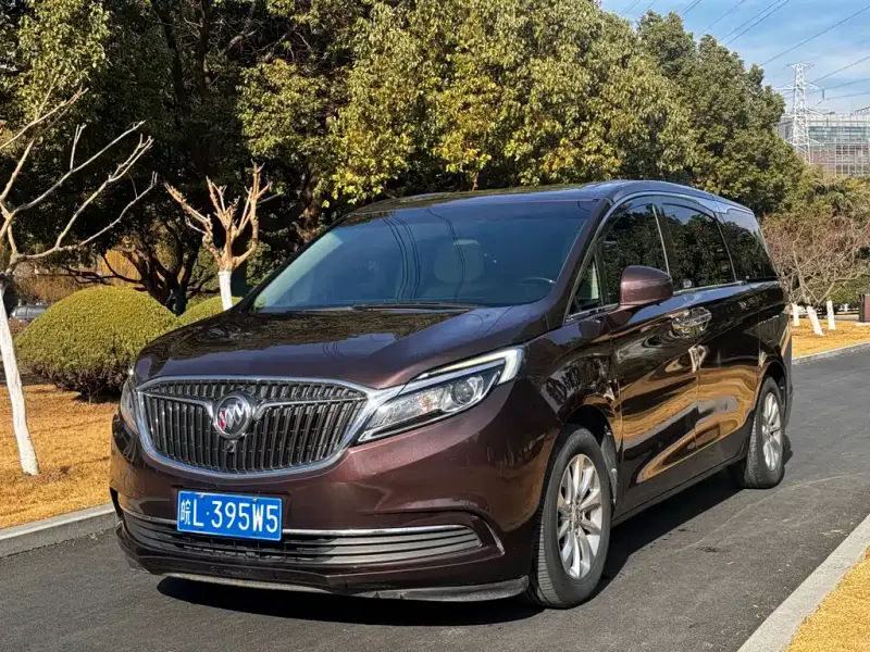 Buick GL8, 2020