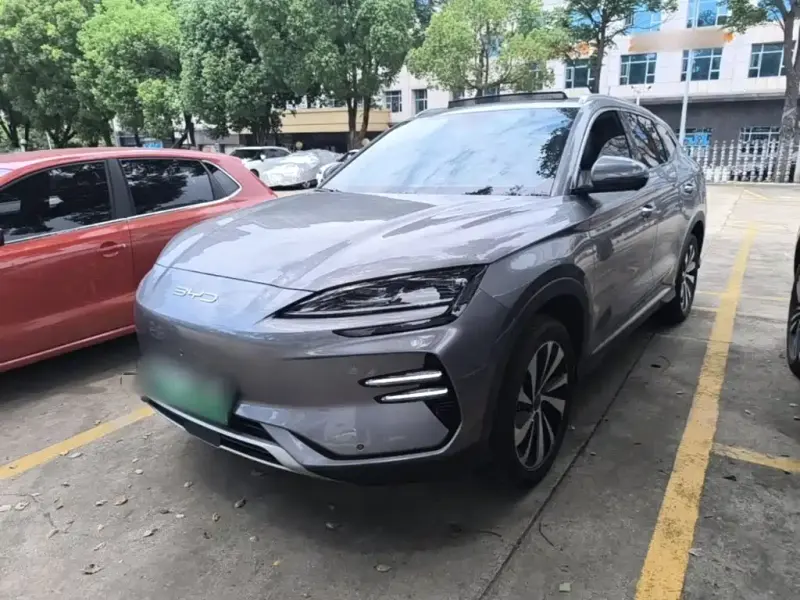 BYD PLUS New Energy, 2024