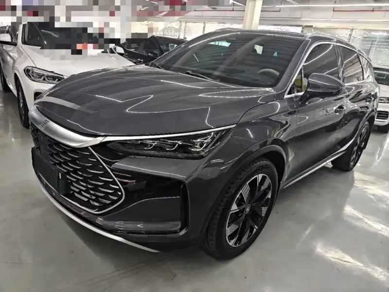 BYD Tang New Energy, 2024